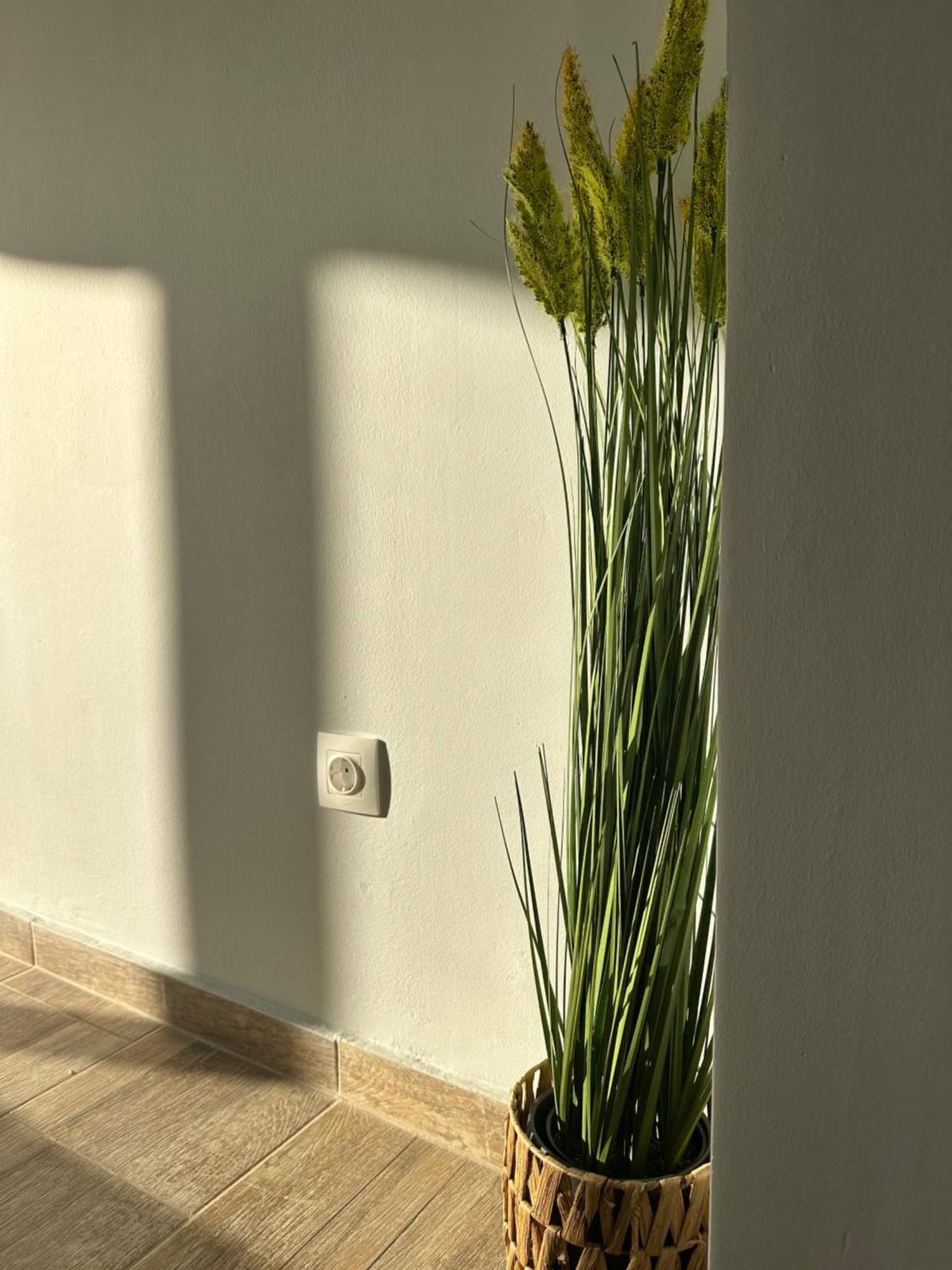 Glyfada Sunset Seaview Cozy Apartment A Athen Exterior foto